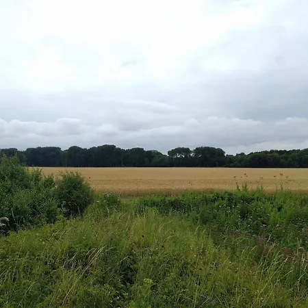 Beachfront Beauty In Hasmark - By Traum オテルプ